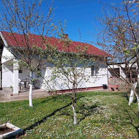 Apartman Dijelovi 비옐리나 외부 사진